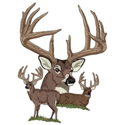 Whitetail Collage Machine Embroidery Design