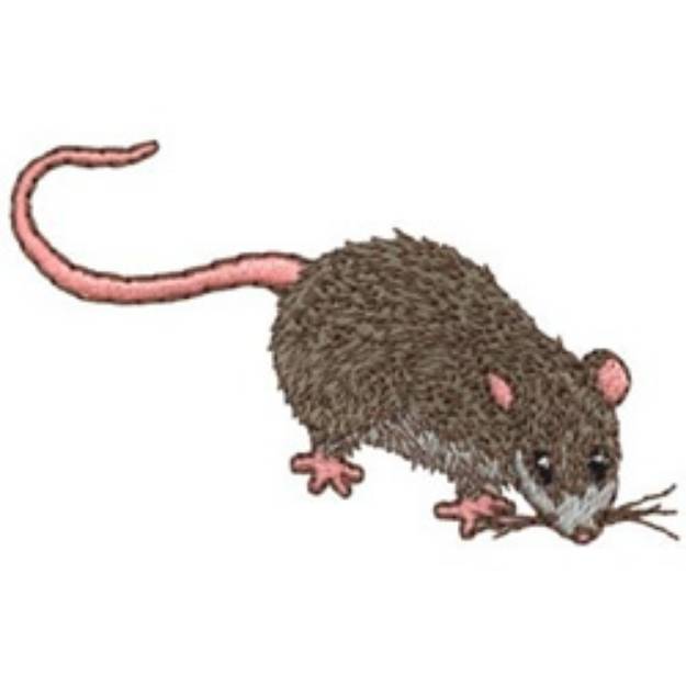 Picture of Rat Machine Embroidery Design