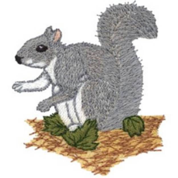 Picture of Gray Squirrel Machine Embroidery Design