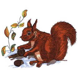 Red Squirrel Machine Embroidery Design