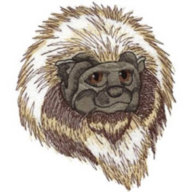 Picture of Cotton Top Tamarin Machine Embroidery Design
