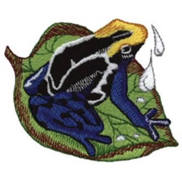 Picture of Poison Dart Frog Machine Embroidery Design
