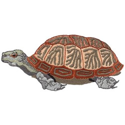 Box Turtle Machine Embroidery Design