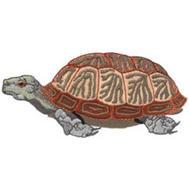 Picture of Box Turtle Machine Embroidery Design