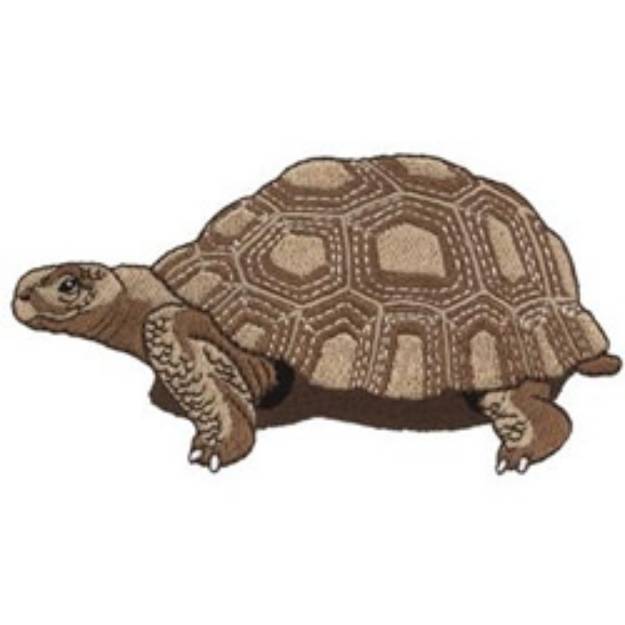 Picture of Desert Tortoise Machine Embroidery Design