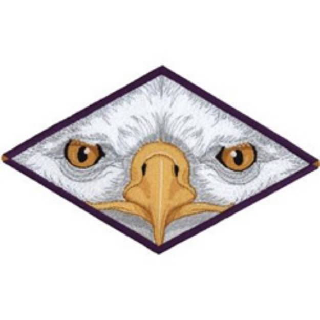 Picture of Eagle Eyes Machine Embroidery Design
