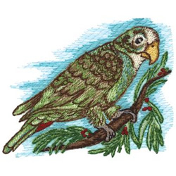 Senegal Bird Machine Embroidery Design