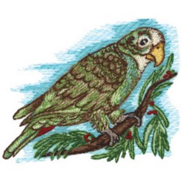 Picture of Senegal Bird Machine Embroidery Design