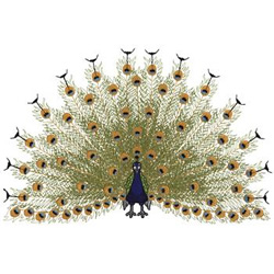 Male Peacock Machine Embroidery Design