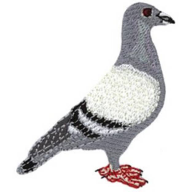 Picture of Pigeon Machine Embroidery Design