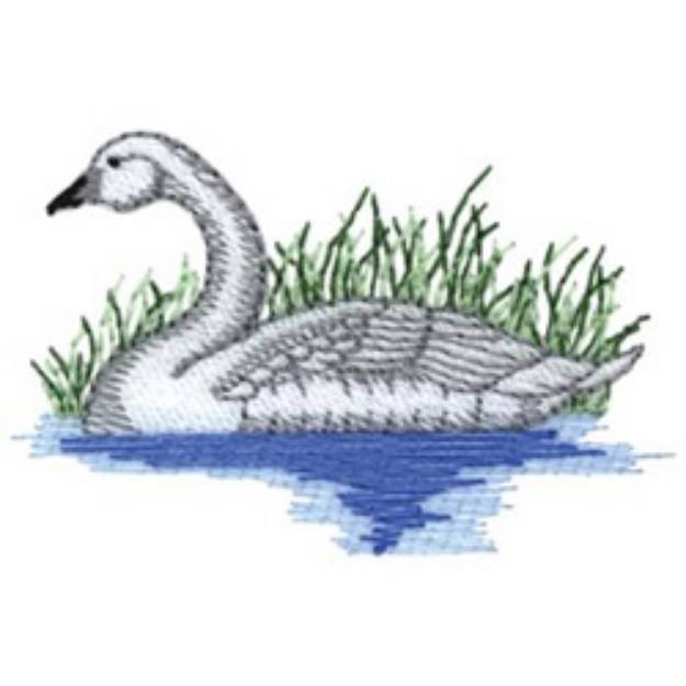 Picture of Trumpeter Swan Machine Embroidery Design