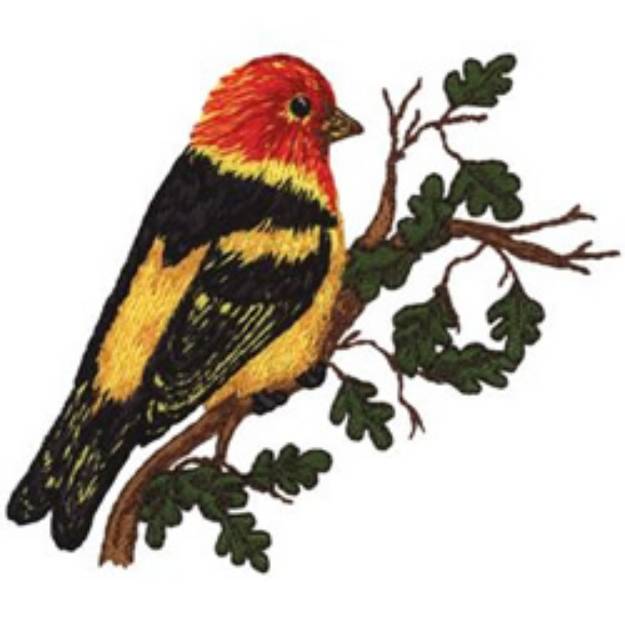 Picture of Western Tanager Machine Embroidery Design