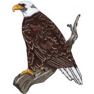 Picture of Eagle Standing Machine Embroidery Design