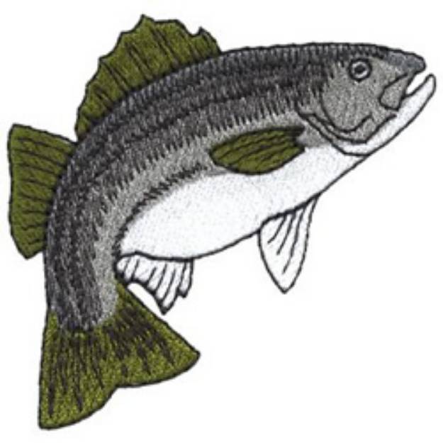Picture of Striped Bass Machine Embroidery Design