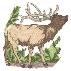 Elk Machine Embroidery Design