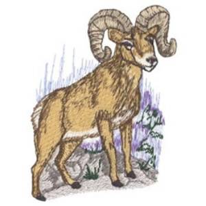 Picture of Big Horn Sheep Machine Embroidery Design