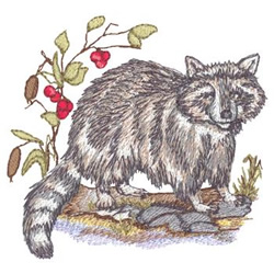 Raccoon Machine Embroidery Design