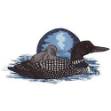 Picture of Loon With Baby Machine Embroidery Design