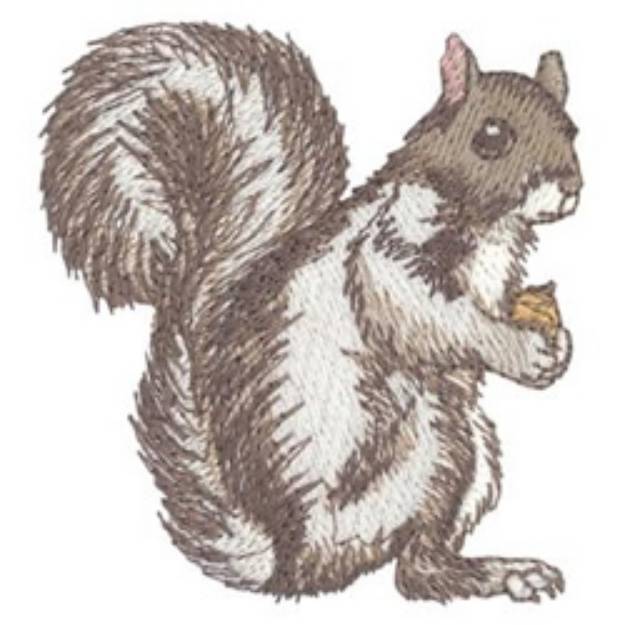 Picture of Eastern Gray Squirrel Machine Embroidery Design