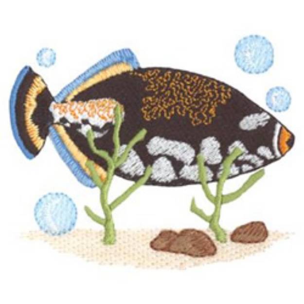 Picture of Clown Triggerfish Machine Embroidery Design