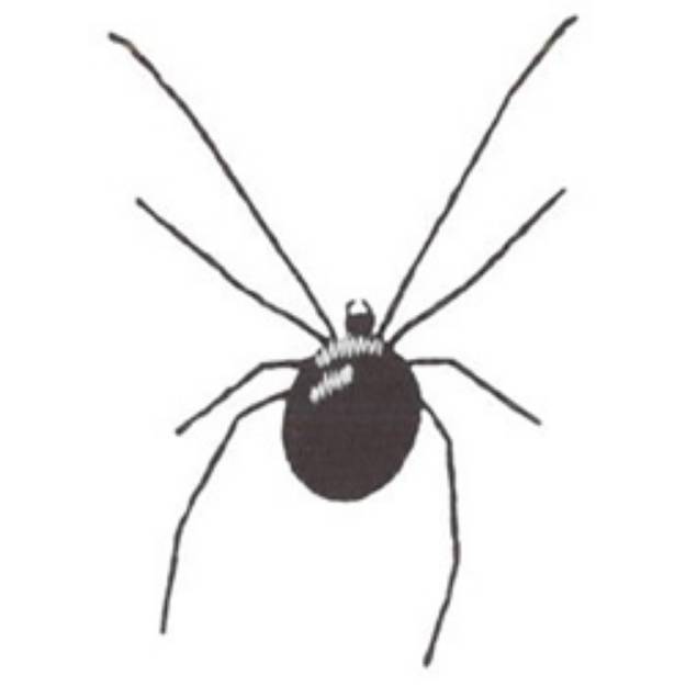 Picture of Black Widow Machine Embroidery Design