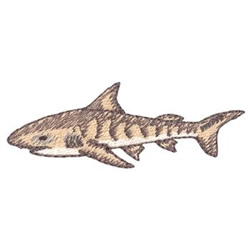 Tiger Shark Machine Embroidery Design