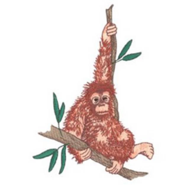 Picture of Orangutan Machine Embroidery Design
