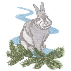 Cottontail Rabbit Machine Embroidery Design