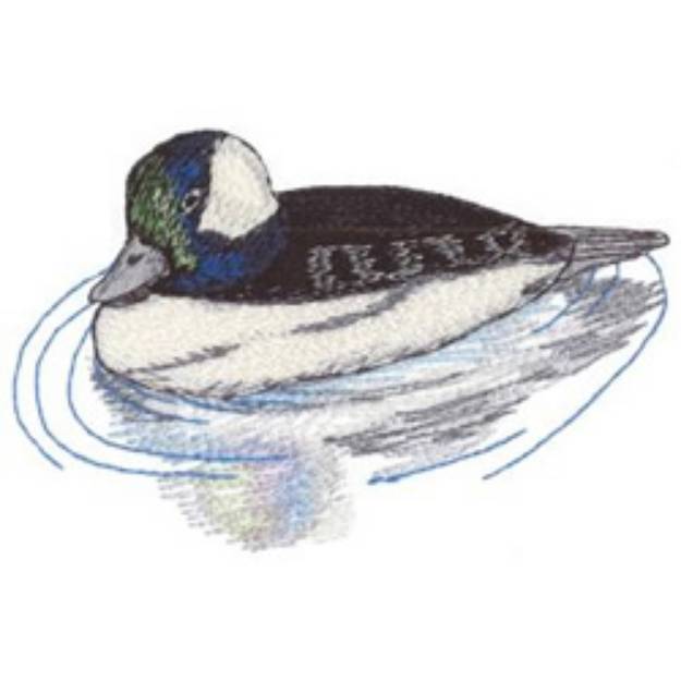 Picture of Bufflehead Duck Machine Embroidery Design
