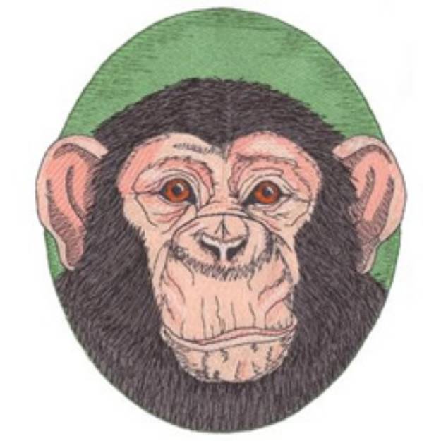 Picture of Chimpanzee Machine Embroidery Design