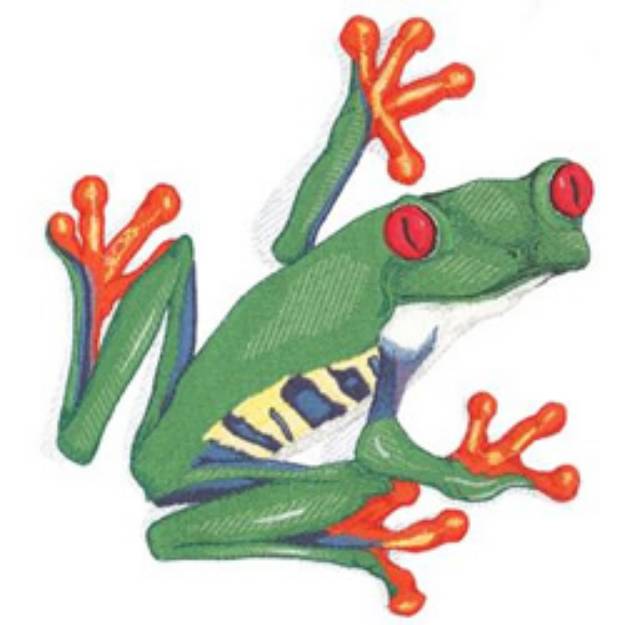 Picture of Red Eyed Tree Frog Machine Embroidery Design