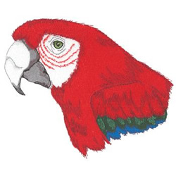 Green Wing Macaw Machine Embroidery Design