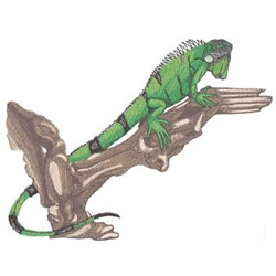 Green Iguana Machine Embroidery Design