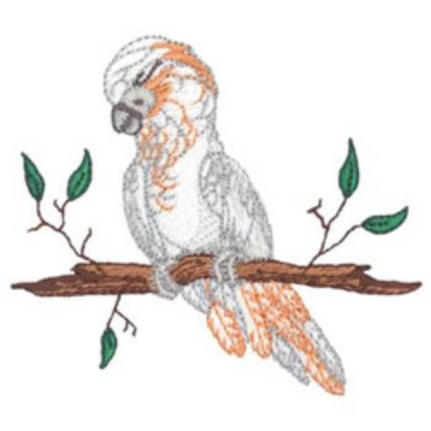 Picture of Moluccan Cockatoo Machine Embroidery Design