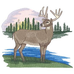Buck Machine Embroidery Design