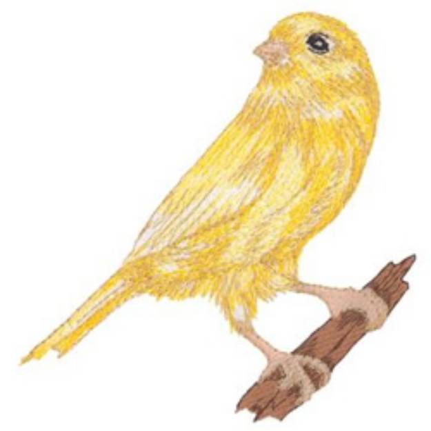 Picture of Canary Machine Embroidery Design