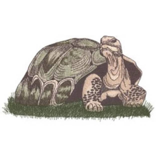Picture of Tortoise Machine Embroidery Design