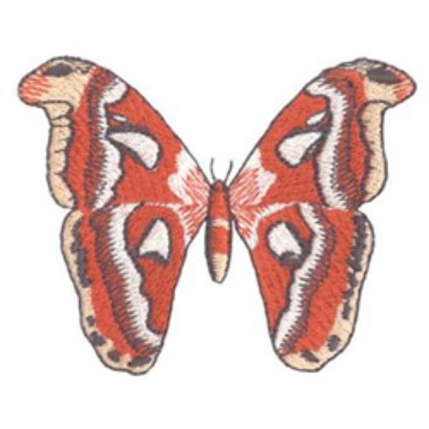 Picture of Atlas Moth Machine Embroidery Design