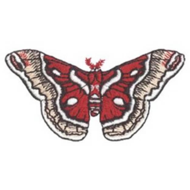 Picture of Cecropia Moth Machine Embroidery Design