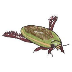 Water Beetle Machine Embroidery Design