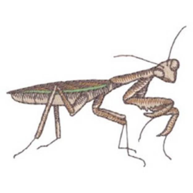 Picture of Praying Mantis Machine Embroidery Design