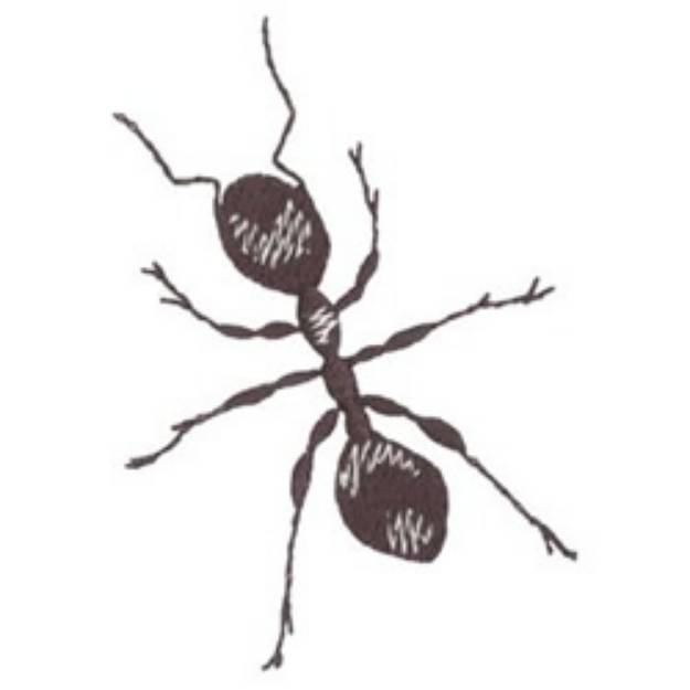 Picture of Ant Machine Embroidery Design