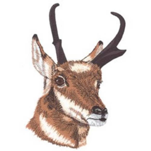 Picture of Antelope Machine Embroidery Design