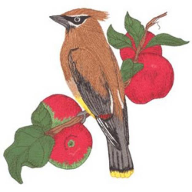 Picture of Cedar Waxwing Machine Embroidery Design