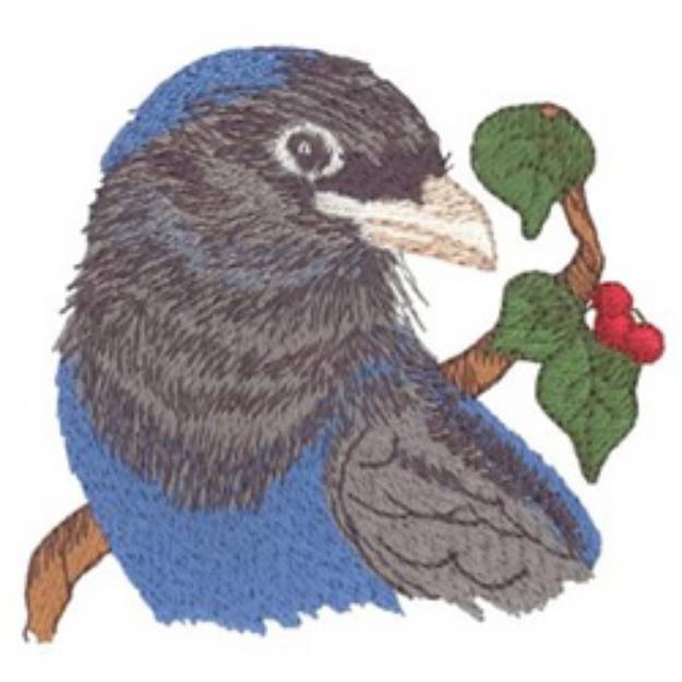 Picture of White Tailed Trogon Machine Embroidery Design