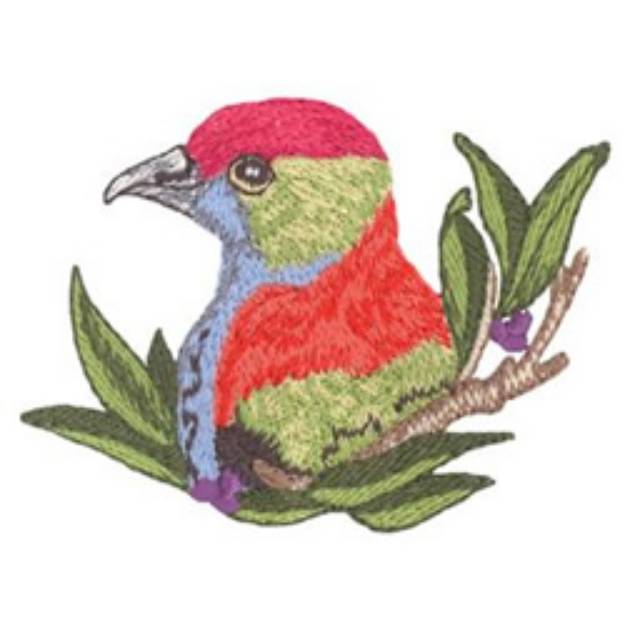 Picture of Superb Fruit Dove Machine Embroidery Design