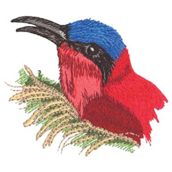 Southern Carmine Bee Eater Machine Embroidery Design