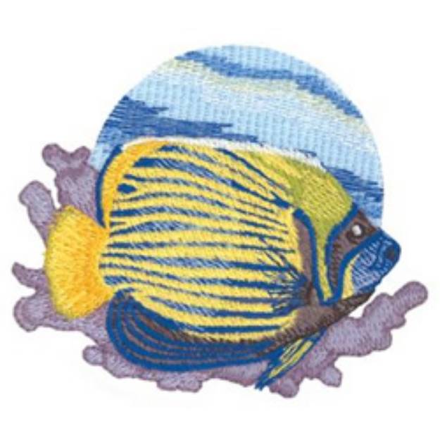 Picture of Emperor Angelfish Machine Embroidery Design