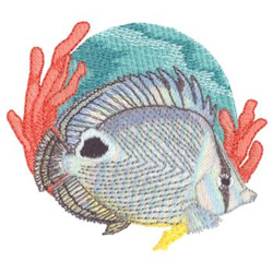 Four Eye Butterfly Fish Machine Embroidery Design