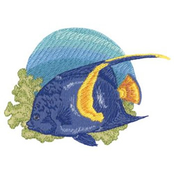 Maculosus Angelfish Machine Embroidery Design